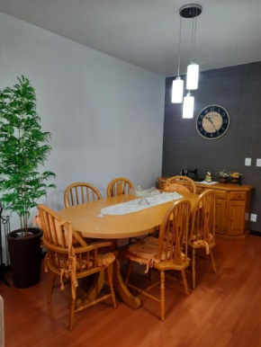 Lindo apartamento próximo a Rua Coberta
